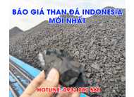 Báo giá than đá indonesia năm 2023